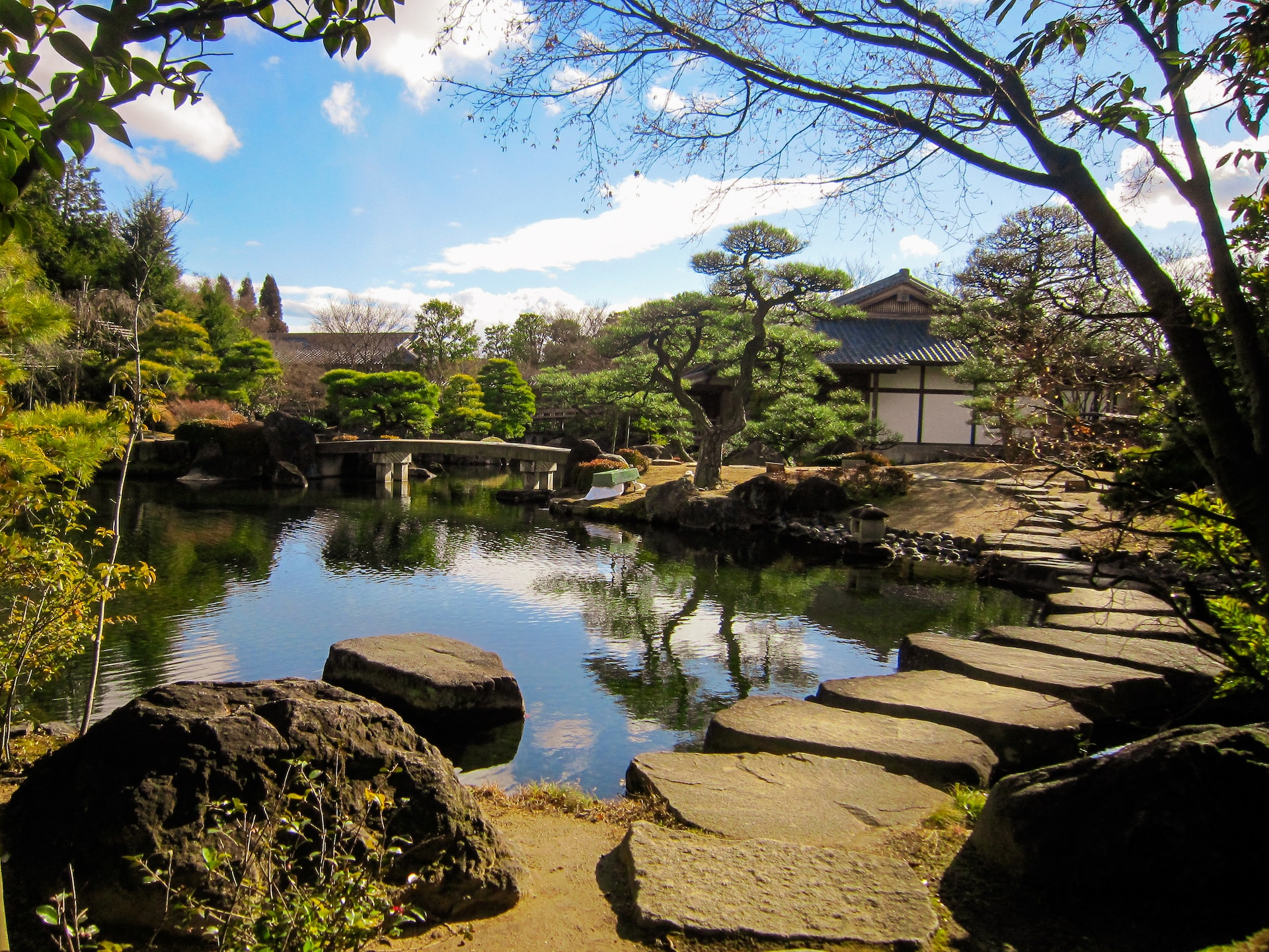 Japońska sztuka bonsai: Jak wprowadzić ją do aranżacji ogrodu