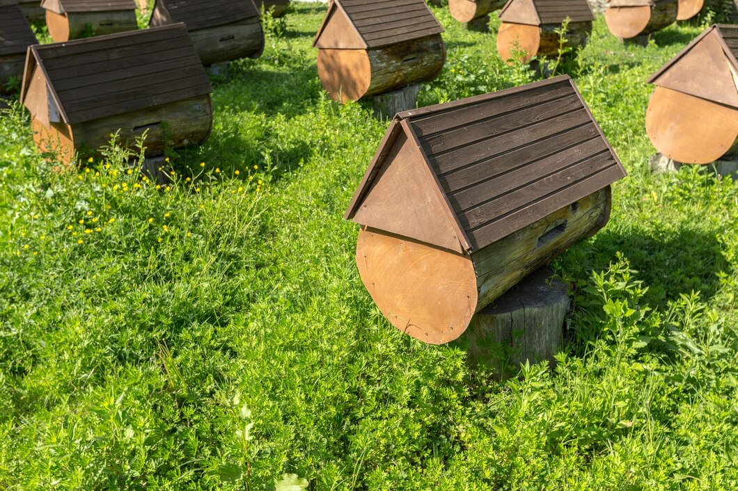 Tworzenie przyjaznej przestrzeni dla owadów zapylających – odkryj tajemnice budowy hotelu dla dzikich pszczół