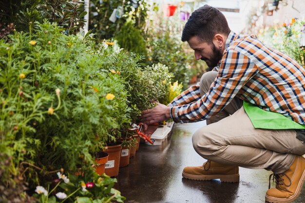 Jakie są zalety tworzenia ogrodu deszczowego w domowym zaciszu?