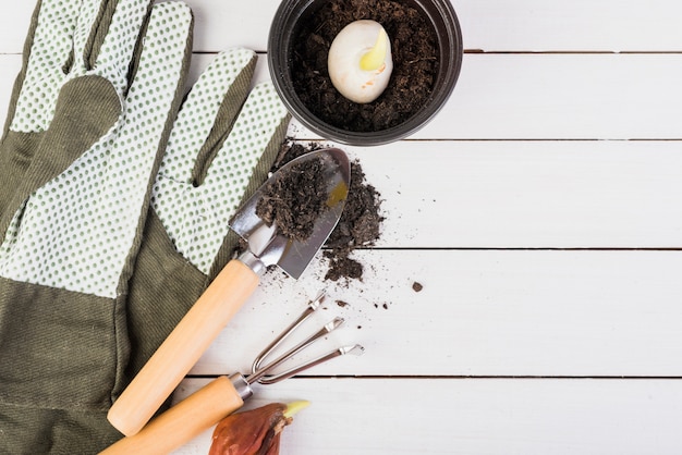 Jak zminimalizować ślad węglowy swojego ogrodu?