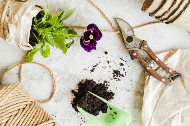 Jakie naturalne metody wspierają zdrowy wzrost roślin w ogrodzie?